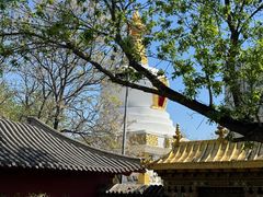 -护国法轮寺