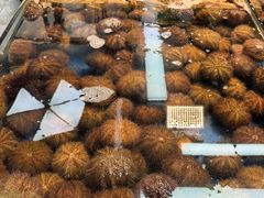 -桃源市场(解放路店)