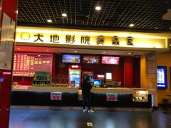 -大地影院(雅安灯塔魅力印象店)
