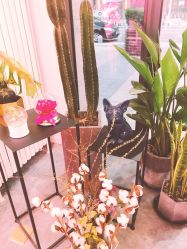 -Priscilla皮肤管理中心