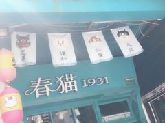 -猫咪博物馆(顶澳仔猫街店)
