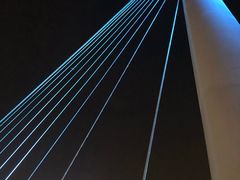 -映月湖中央公园