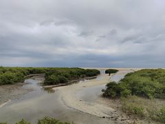 -北海金海湾红树林生态旅游区