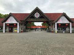 -上海海湾国家森林公园