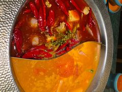 -麻田会 ·鲜活现烹·牛蛙火锅(珠江新城维家思广场店)