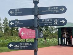 -荷兰花海