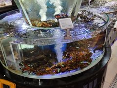 水产区-盒马鲜生(悠方店)