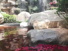 -七彩云南古滇温泉山庄