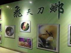 -上海昆虫博物馆