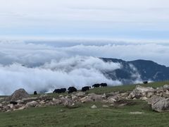 -灵山