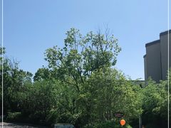 -上海崇明金茂凯悦酒店