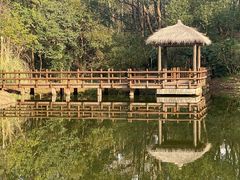 -上海滨江森林公园