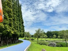 -宜兴龙背山森林公园