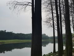 -中旅阿那亚九龙湖·公主酒店