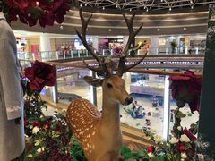 -深圳龙华星河COCO City(民治店)
