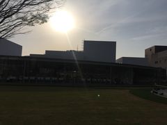 -金泽21世纪美术馆