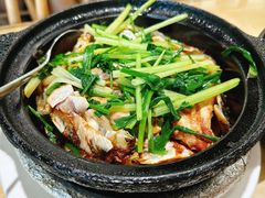 砂锅鱼头煲-东山茶寮(新安店)