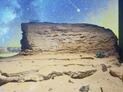 -深圳珠宝博物馆