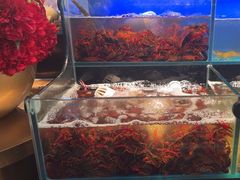 -苏格里岛自助烤肉海鲜火锅(成都金牛万达店)