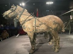 -秦始皇帝陵博物院-丽山园