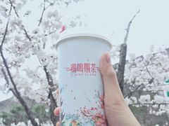 -鸡鸣赐茶(鸡鸣寺路店)