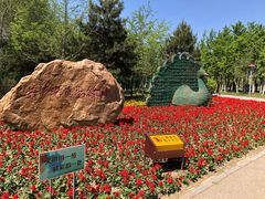 -长白岛森林公园