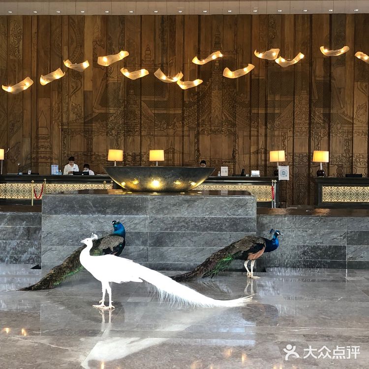 西双版纳海鲜🦞自助餐首选|铂尔曼