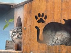 -青藏高原野生动物园