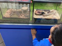 -上海昆虫博物馆