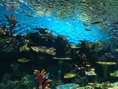 -华夏文旅西安度假区