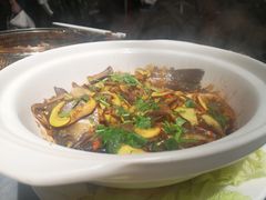 牛肝菌焖鲈鱼-蔼若春.传承三十年云南菜(金碧公园店)