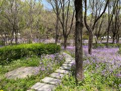 -棋盘山风景区