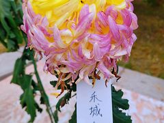 -国家植物园