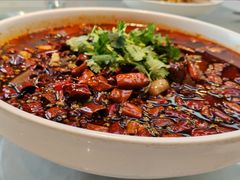 精品毛血旺-陈麻婆豆腐(旗舰店)