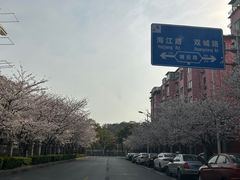 -永乐路-路侧停车场
