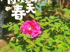-江南大学(蠡湖校区)