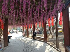 -西安汉城湖景区