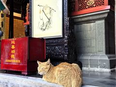 -龙华素斋(龙华路店)