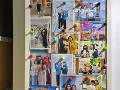 -青奢宠物·青奢猫舍