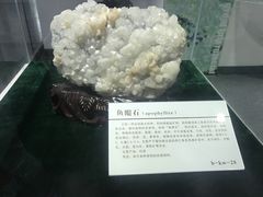 -中国第四纪冰川遗迹陈列馆