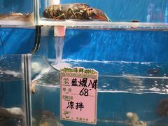 -大城·烧烤海鲜大排档(台东店)