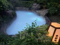 -杭州第一世界大酒店·云曼温泉