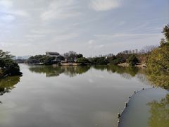 -江心屿景区