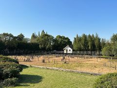 -河姆渡遗址博物馆