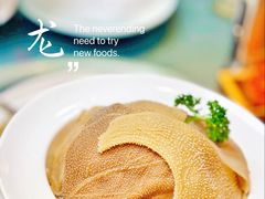 毛肚-金龙·打边炉(南京西路店)