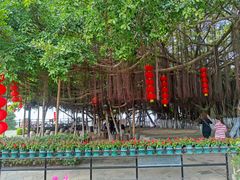 -胡里山炮台
