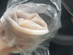 -邓氏大薄片
