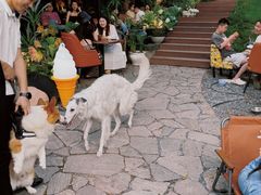 -青岛电视塔