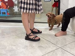 -瑞鹏瑞爱宠物医院·全科·猫科·血液透析中心(龙头寺店)