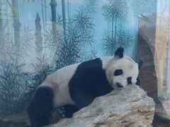 -石家庄市动物园